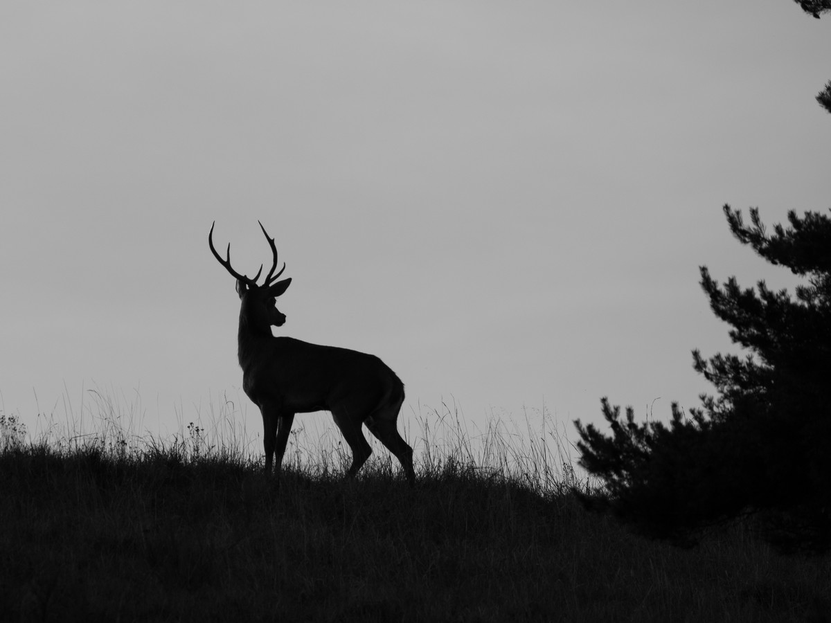 27092025-27 09 25 (5).jpg